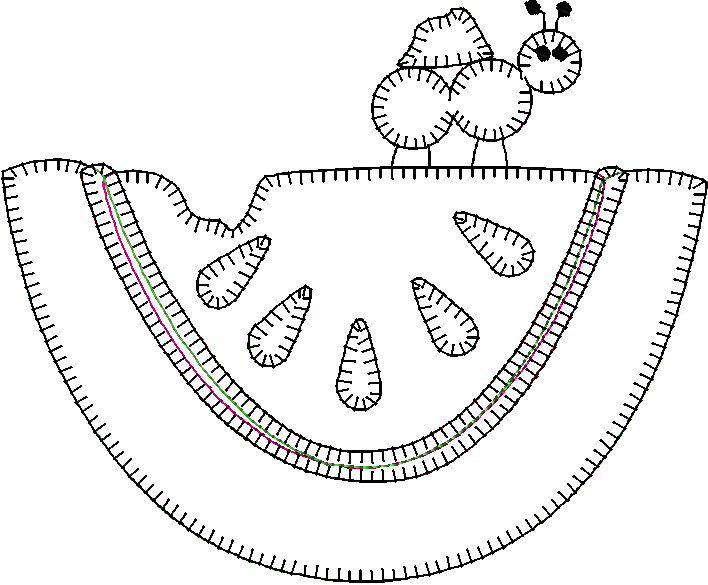 Watermelon Embroidery File